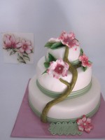 /album/torte-compleanno-adulti/a60563-1536566008554-1066962592-31458436-6854157-n-jpg/