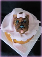 /album/torte-a-tema/a259844-2012559988106-1066962592-32196780-666826-n-jpg/