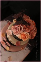 /album/torte-18-anni/a14633253-10209696335339615-4014808704596729424-o-jpg/